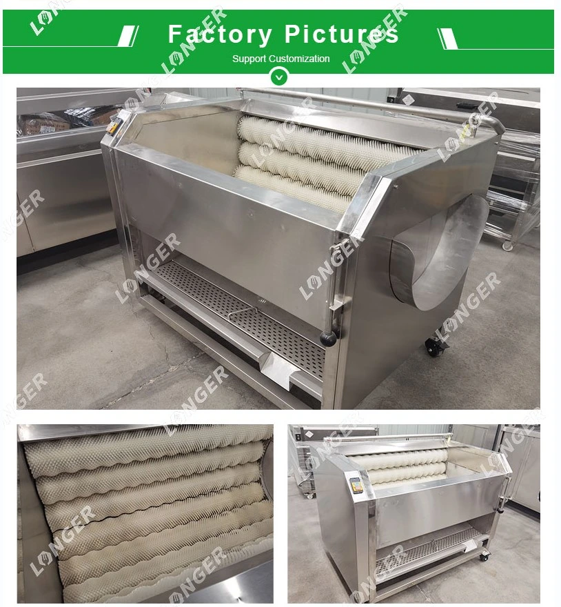 Brush Washing Machine Vegetable and Fruit Peeling Machine Potato Washer