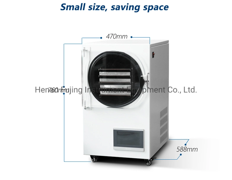 Home Freeze Dried Food Vacuum Lyophilizer Price Fruit Mini Vegetable Freeze Drying Machine Freeze Drye