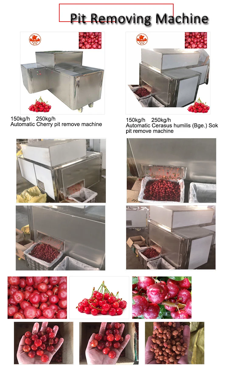 Best Cherry Seed Remove Machine Date Olive Fruit Pitting Machine