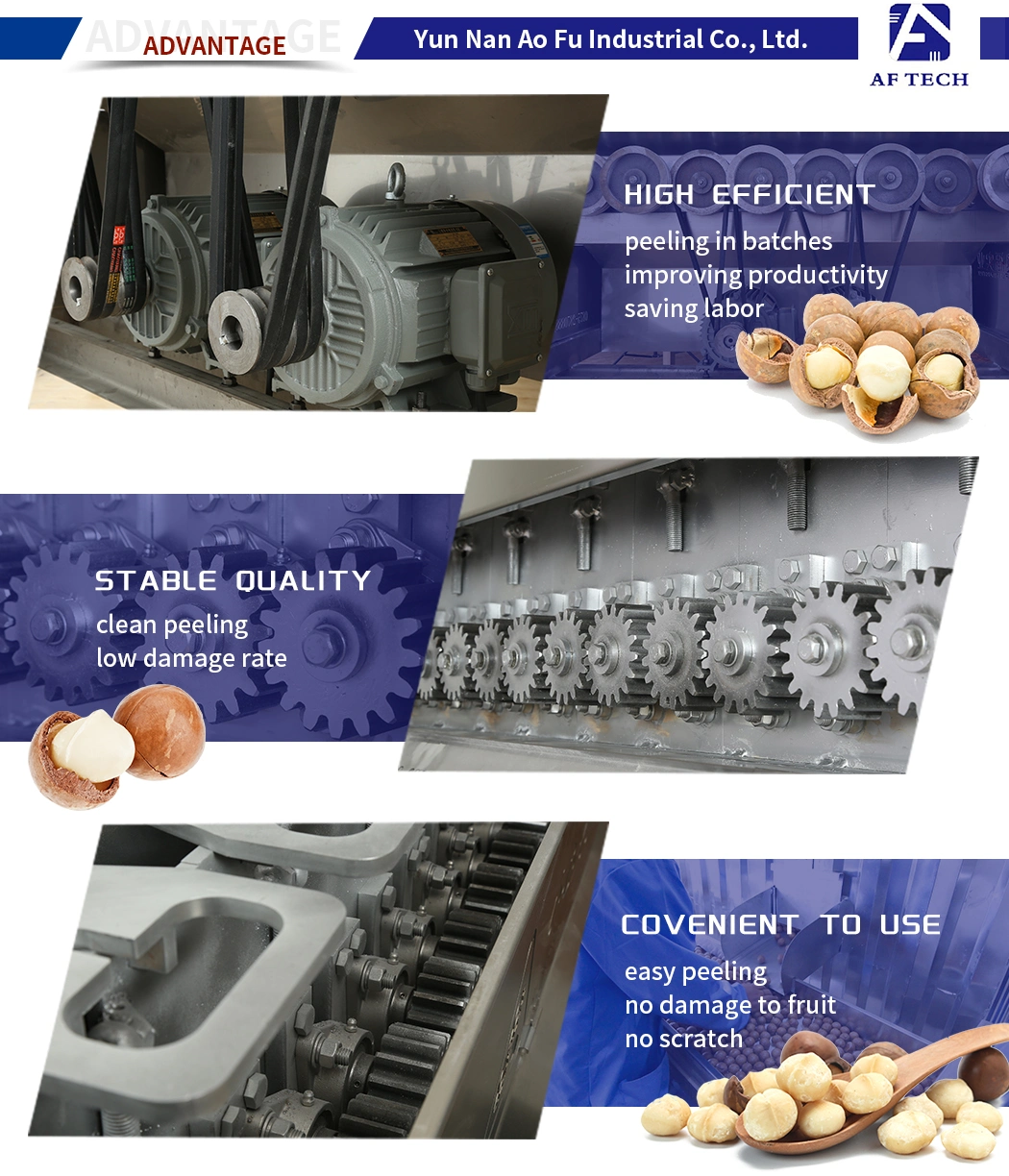 Factory Supply 5000kg/H Automatic Green Macadamia Nut Processing Peeling Machine
