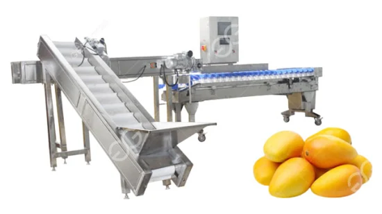 Stainless Steel Apple Orange Avocado Pear Fruit Sorting Machine Food Sorting Machine Weight Fruit Sorting Machine