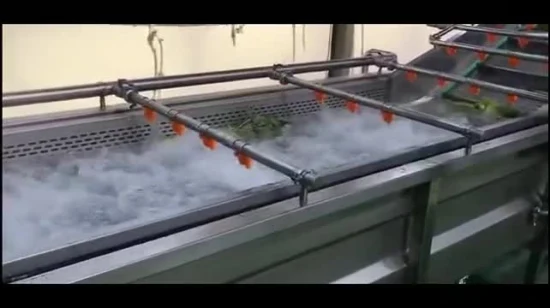 Vegetable Fruit Orange Apple Bubble Washing Washer Machine