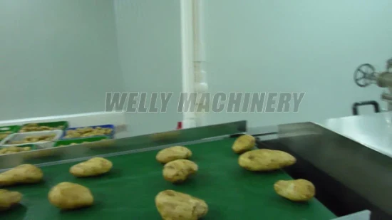 Chinese Fruit Apricot Prune Core Removing Separating Pitting Processing Machine