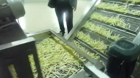 Fully Automatic Banana Slice/Potato Chips/Frozen French Fries Production Line