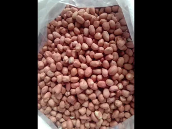 Good Taste AAA Colorful Rice Crackers Mixed with Crispy Coated Roasted Peanuts Wholesale
