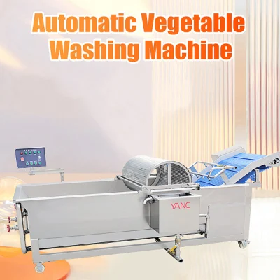 New Fruit Vegetable Carrot Potato Ginger Apple Bubble Washer with Automatic Belt Lifting System