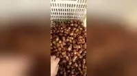 Multifunctional Fruit Seed Removing Dry Dates Pitting Machine
