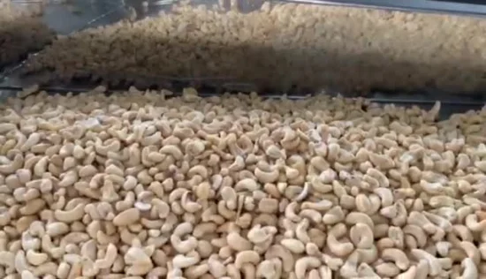 Automatic Walnuts/Cashew Nut Processing Machine CS Series Color Selector Color Sorter Machine