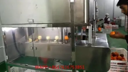 Fruit Peeler Denuclearizer Core Remover Fruit Pit Removing Pitting Machine