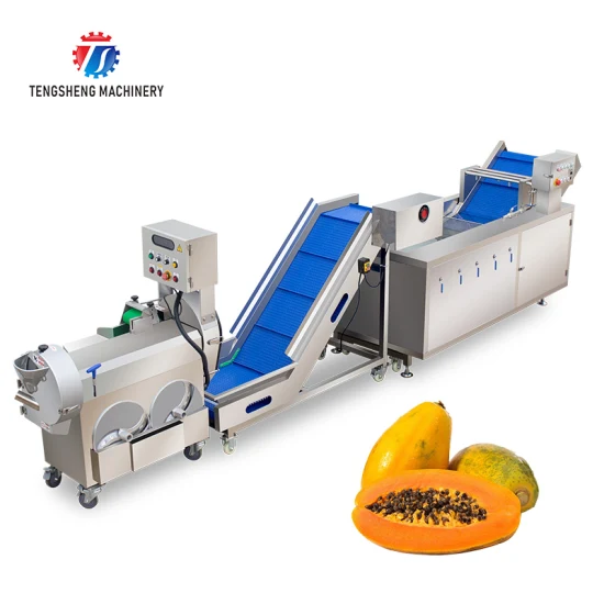Industrial Vegetable Cutting Lifting and Washing Machine Production Line