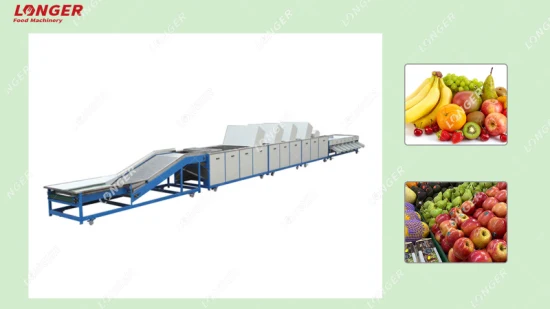 Commercial Apple Washing Sorting Machine Fruit Washing Sorting and Grading Machines