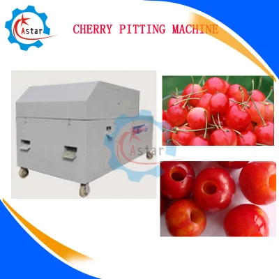 Full Automatic Stainless Steel Fruit Cherry Pitting Machine
