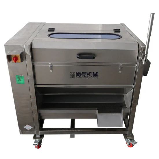 Heavy Duty Vegetable Fruit Washing Peeling Machine for Canteen Kitchen Room