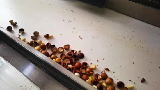 Automatic Macadamia Nut Cracking Cutting Kernels Extraction Shell out Machine