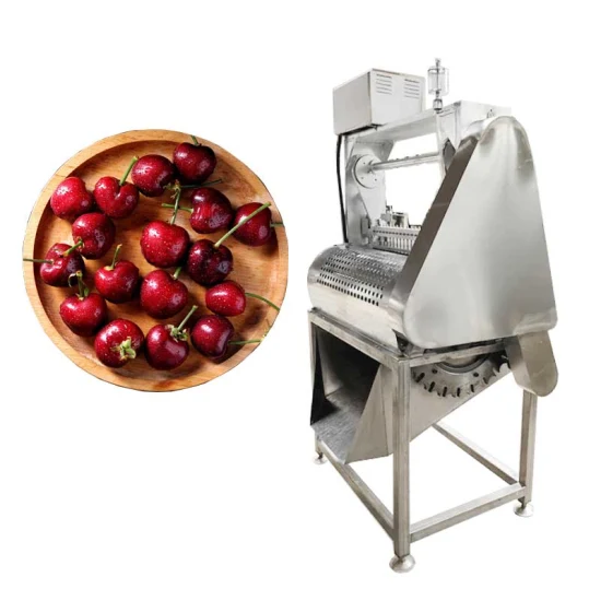 Small Scale Fruit Seed Removing Date Apple Pear Apricot Cherry Date Olive Pitting Machine