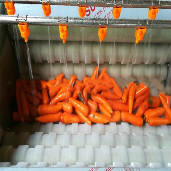 Multi-Function Vegetable Ginger Potato Carrot Washing Cleaning Peeling Machine Aweet Potatoes Skin Removing Machine