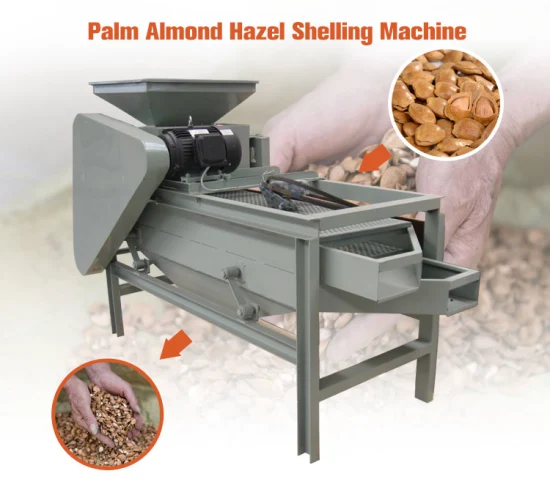 Commercial Walnut Nuts Breaker Pecan Almond Shelling Machine Hazelnut Cracking Machine