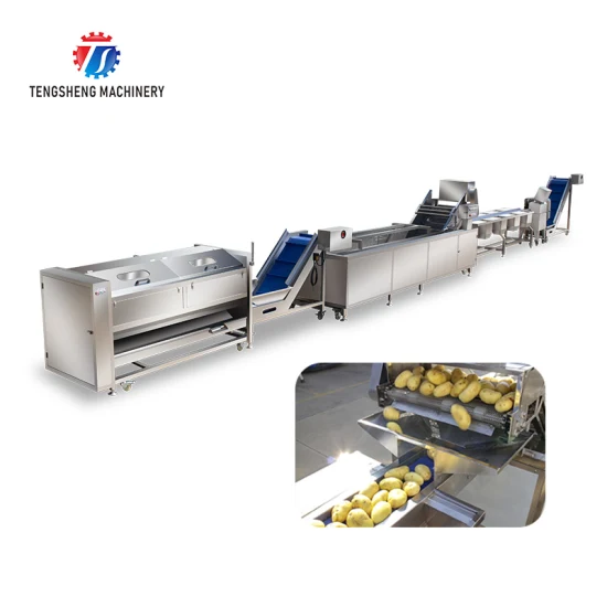 Multifunctional Vegetable Hair Roller Bubble Cleaning Selection and Cutting Machine Production Line
