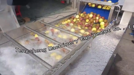 Automatic Vegetable Fruit Apple Grading Equipment Size Sorting Machine Ts-Fs250