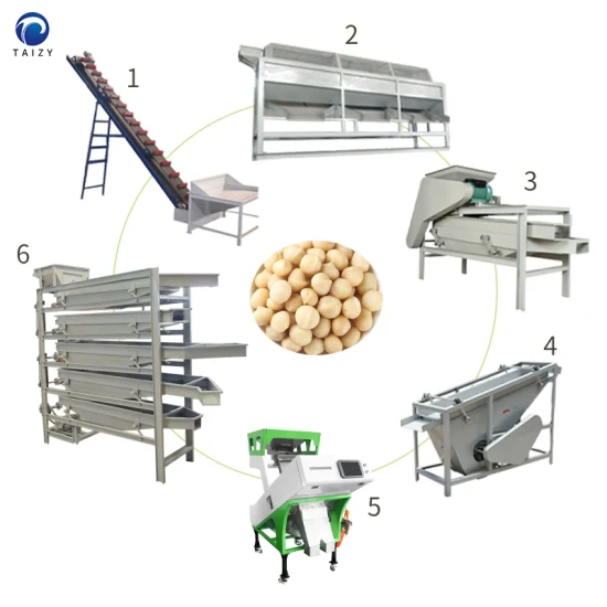 Walnut Crushing Machine Almonds Shelling Machine Cashew Macadamia Nut Processing Machine