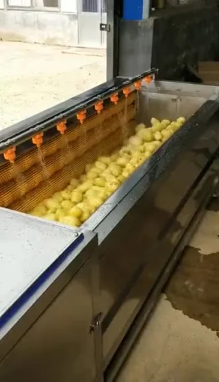 Cheap Citrus Fruit Radish Washing Peeling Machine