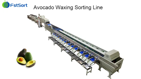 Citrus Apple Mango Nectarine Orange Avocado Fruit Washing Drying Waxing Sorting Processing Machine