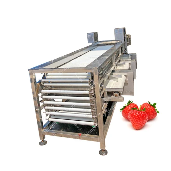 Factory Price Commercial Automatic Longan Lychee Corer Tomato Sorter Grading Machine for Fruit