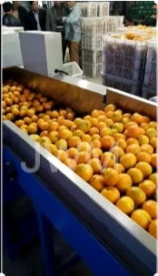 Automatic Fruit Apple Avocado Lemon Orange Peach Sorter Sorting Grading Machine