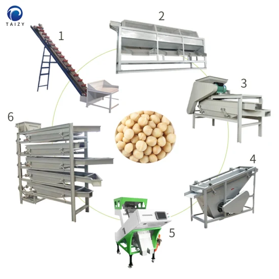 Macadamia Nut Cracker Machine Pistachio Nuts Cracking Machine