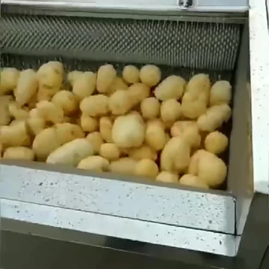 Potato/Ginger Vegetable Washing and Peeling Machine